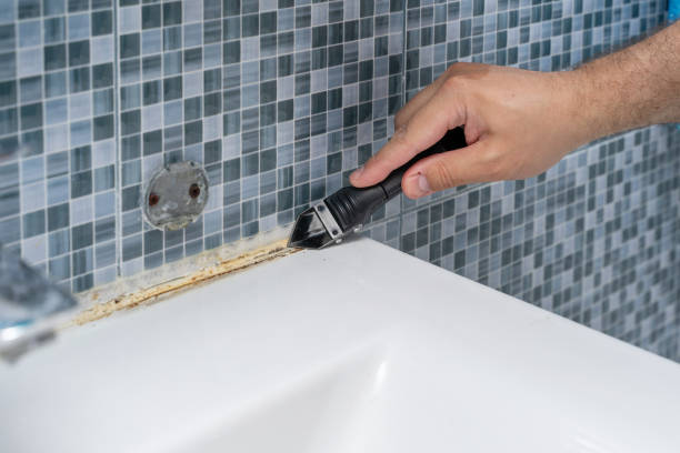 Best Home Mold Removal  in Greensburg, PA