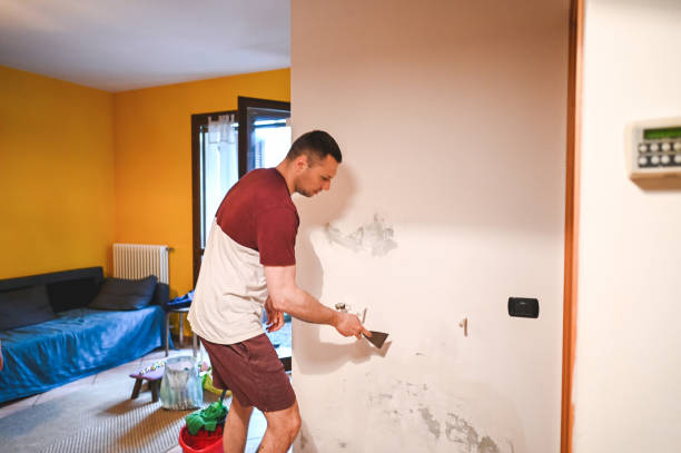 Certified Mold Removal in Greensburg, PA