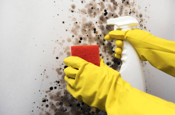 Water Damage Restoration in Greensburg, PA